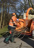 Bauhofmitarbeiter welche Äste in einen Hexer stecken