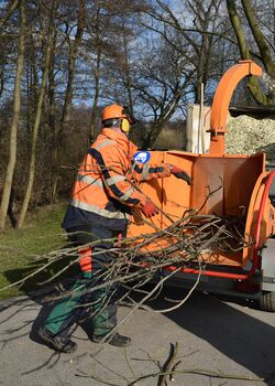 Bauhofmitarbeiter welche Äste in einen Hexer stecken